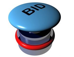 Sacramento online auction Type of auction
